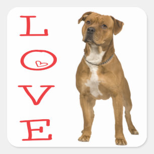 Autocollant de chien Terrier Américain Staffordshi