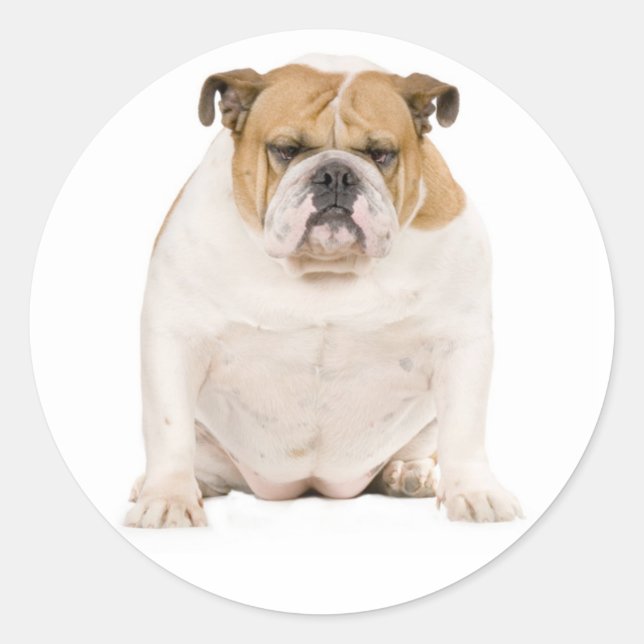 Autocollant de chiot Bouledogue Anglais (Devant)