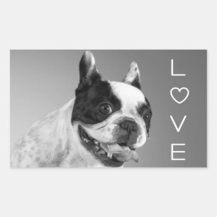 Autocollant de chiot Bouledogue Français