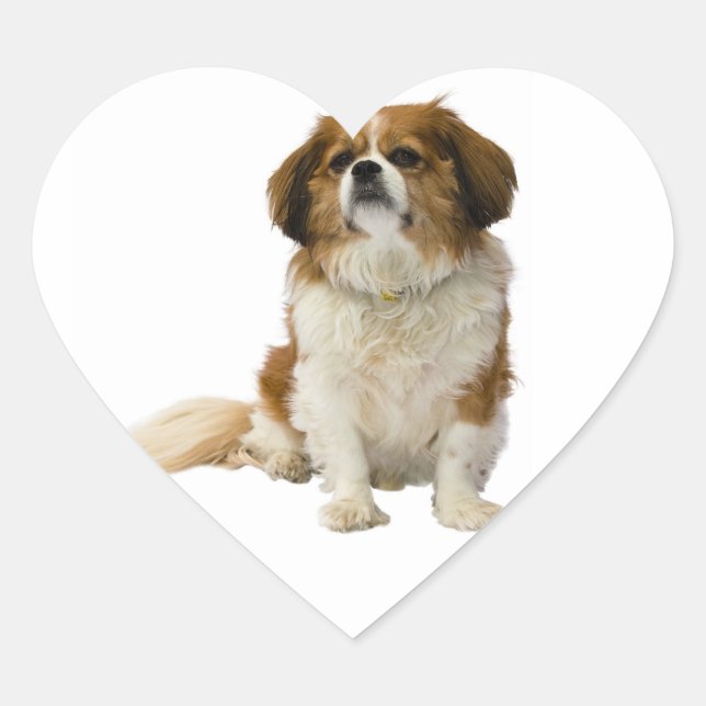 Autocollant de chiot Cavalier King Charles Spaniel (Devant)