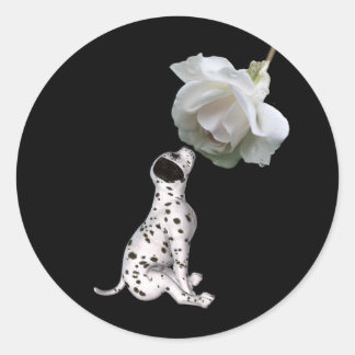 Autocollant de chiot dalmate et rose blanche