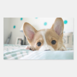 autocollant de chiot de corgi