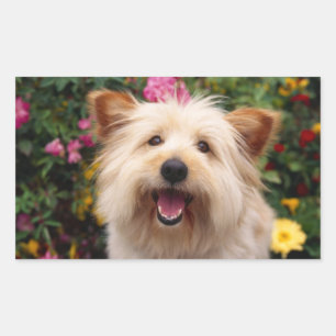 Autocollant de chiot Terrier Cairn heureux dans le