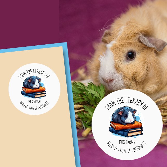 Autocollant de cochon d'Inde mignon lisant des liv (Créateur téléchargé)