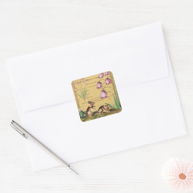 Autocollant de collage de lapin Journal Planificat (Enveloppe)