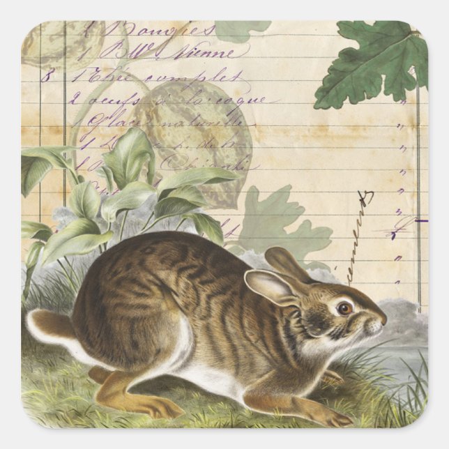 Autocollant de collage de lapin Journal Planificat (Devant)