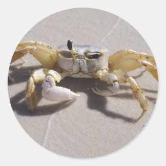 Autocollant de crabe
