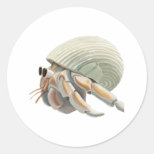 Autocollant de crabe Hermite