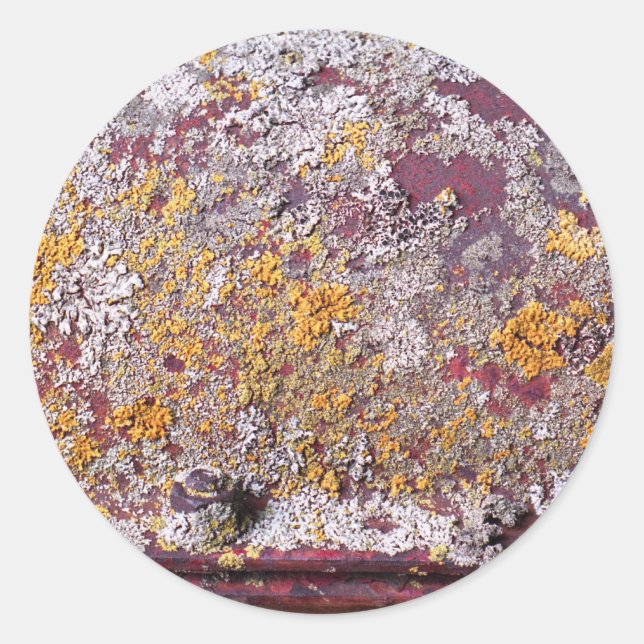 autocollant de croissance de tuyau (Devant)