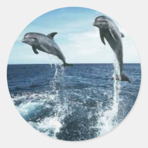 AUTOCOLLANT DE DAUPHINS
