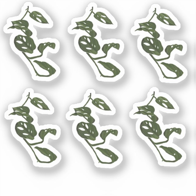 Autocollant de dessin de plante de vigne Monstera (Recto)
