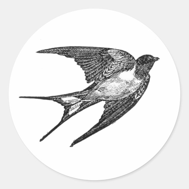 autocollant de faucon en blanc (Devant)