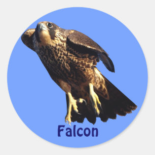 Autocollant de faune du raptor Falcon