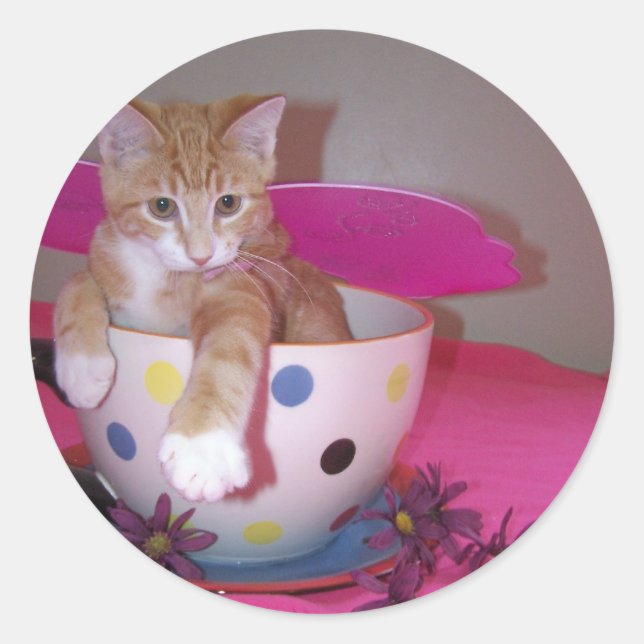 Autocollant de fée (Devant)