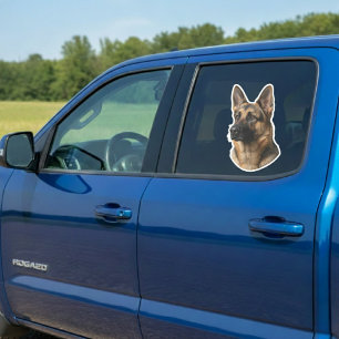 Autocollant de fenêtre de voiture avec photo de ch
