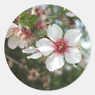 Autocollant de fleur de fleur