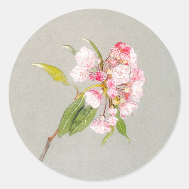 Autocollant de fleur de laurier de montagne (Devant)