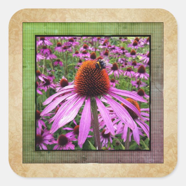 Autocollant de fleur sauvage Echinacea Coneflower  (Devant)