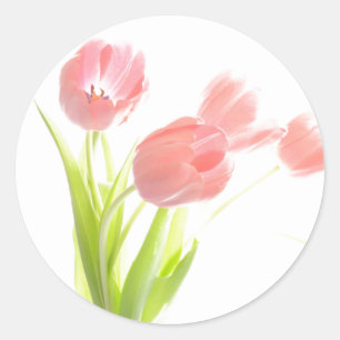 Autocollant de fleurs de tulipes roses florales