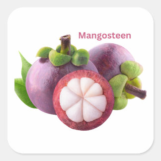Autocollant de fruit Mangosteen