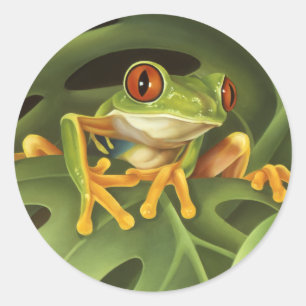 Autocollant de grenouille d'arbre