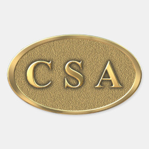 Autocollant de guerre civile de CSA