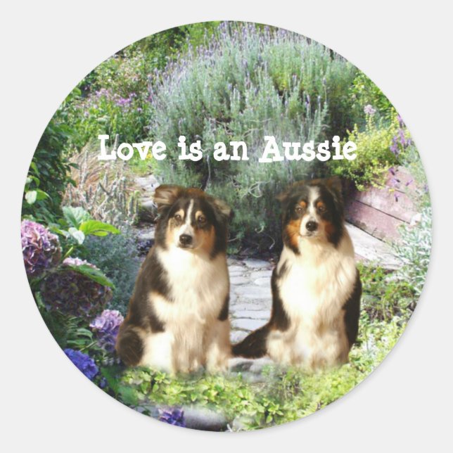 Autocollant de jardin berger australien (Devant)