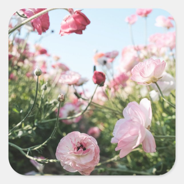 Autocollant de jardin de fleurs roses (Devant)