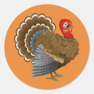 Autocollant de la Turquie de thanksgiving