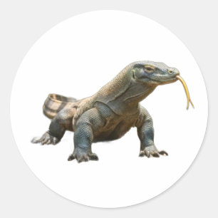 Autocollant de l'ancien dragon de Komodo, patrimoi