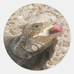 Autocollant de langue de lézard