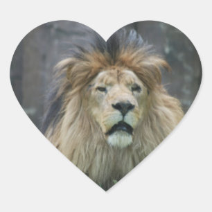 Autocollant de lion