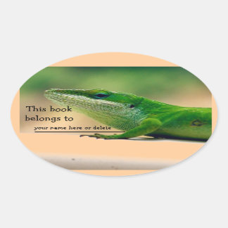 Autocollant de livre d'Anole d'amant de lézard