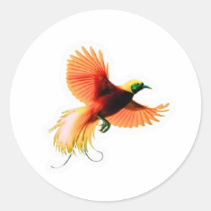 Autocollant de l'oiseau majestueux Cendrawasih - P