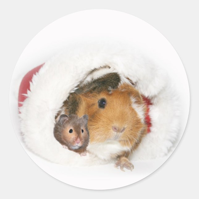 Autocollant de Noël animal (Devant)