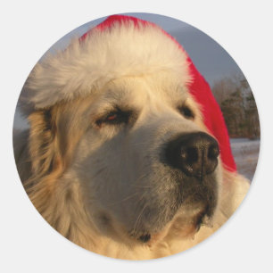 Autocollant de Noël de Grands Pyrénées