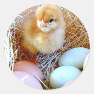 Autocollant de Pâques