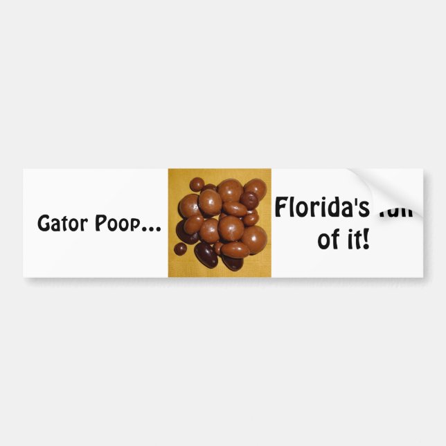 Autocollant de pare-chocs Gator Floride (Devant)