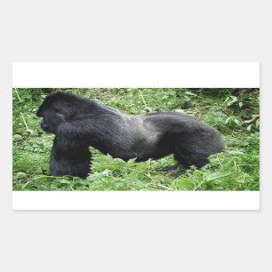 Autocollant de photo de gorille de Silverback