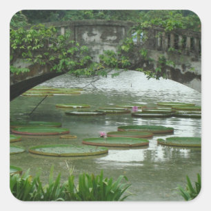 Autocollant de photo de nénuphar
