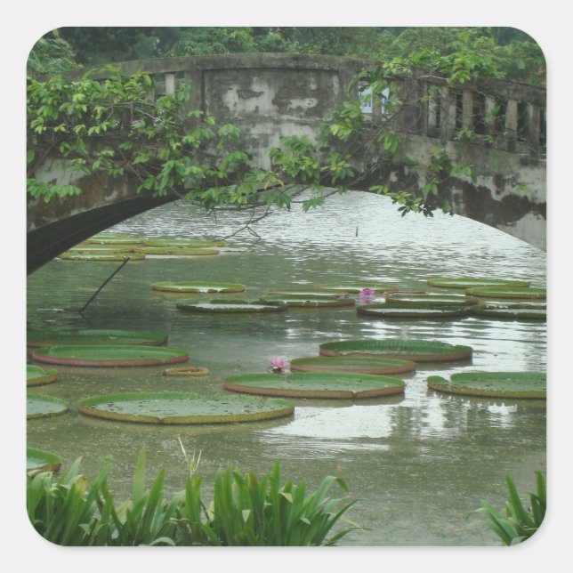Autocollant de photo de nénuphar (Devant)