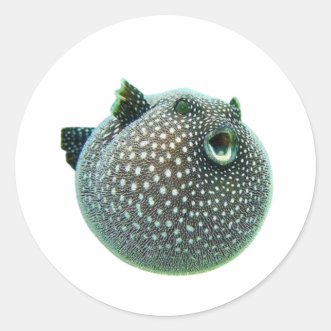Autocollant de poisson-grenouille tacheté amusant  (Devant)