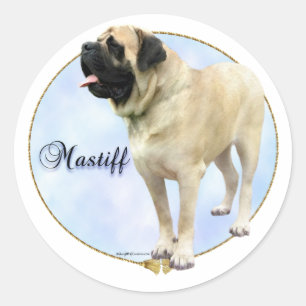 Autocollant de portrait de mastiff de faon