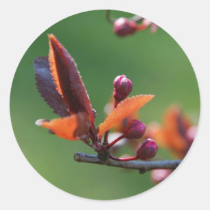 Autocollant de printemps
