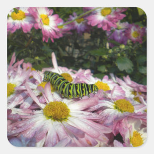 Autocollant de promenade Caterpillar