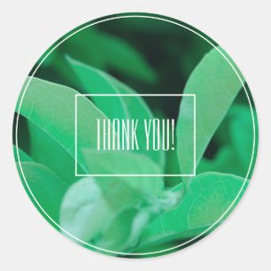 Autocollant de remerciement de plante à feuilles v