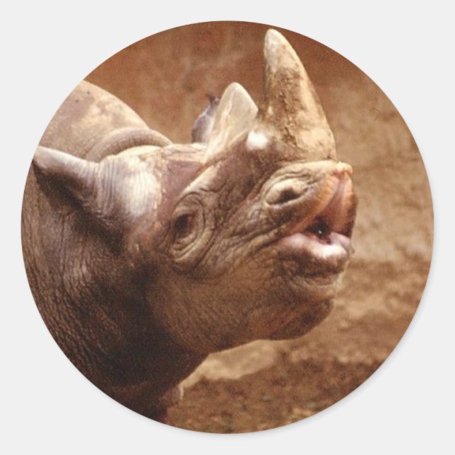 Autocollant de rhinocéros (Devant)