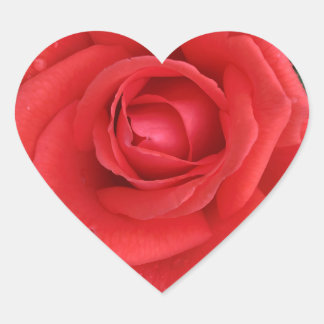 Autocollant de rose