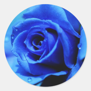 Autocollant de rose de bleu