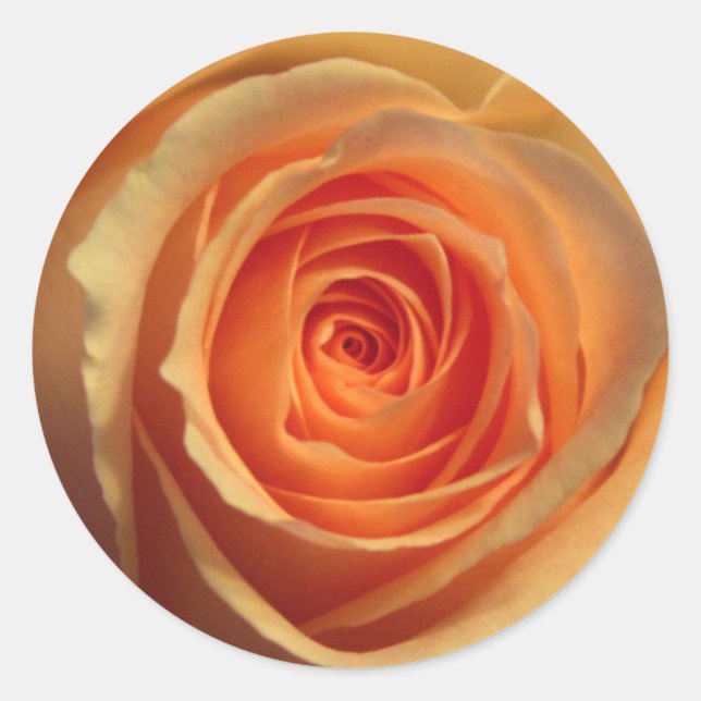 Autocollant de rose jaune (Devant)